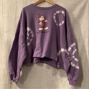 Disneyworld sweater